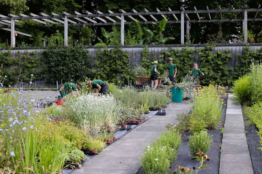 Gartenbauschule Oeschberg_Koppigen_Grundbildung_Vorlehre.JPG