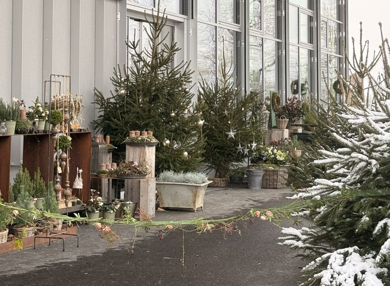 neuer_blumenladen_adventsausstellung_oschberg_2025_1.jpg