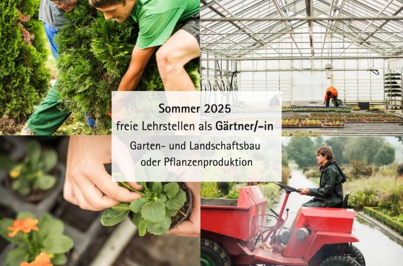 schnupperlehre-oeschberg-fuer-sommer-2025_gaertnerberufe.jpg