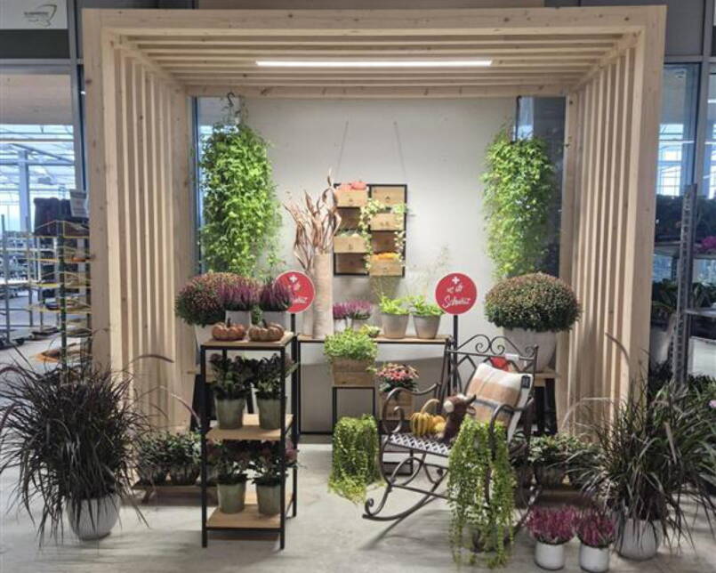 Trendpavillon Arbeiten Weissenstein