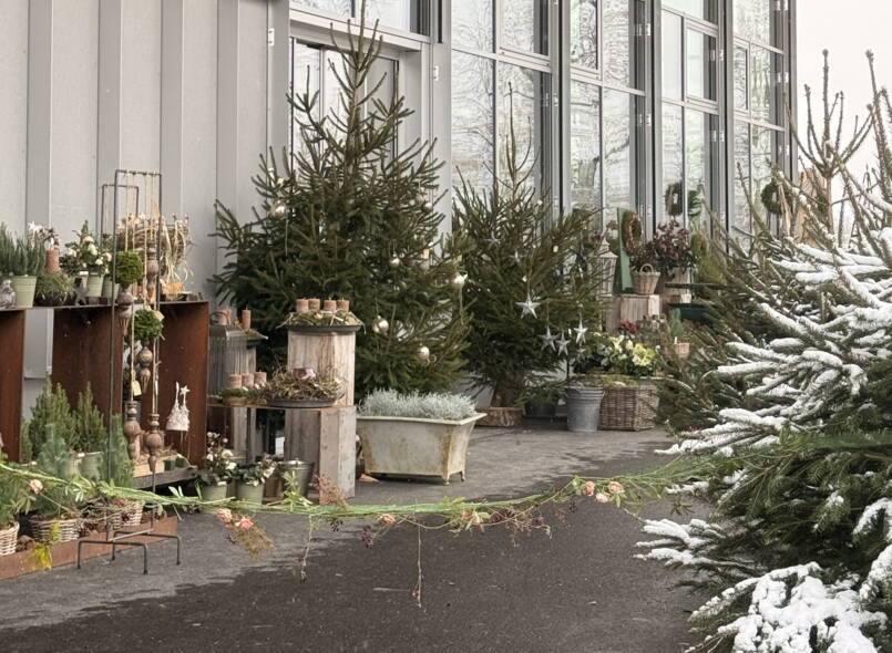 neuer_blumenladen_adventsausstellung_oschberg_2025_1.jpg neuer_blumenladen_adventsausstellung_oschberg_2025_1.jpg