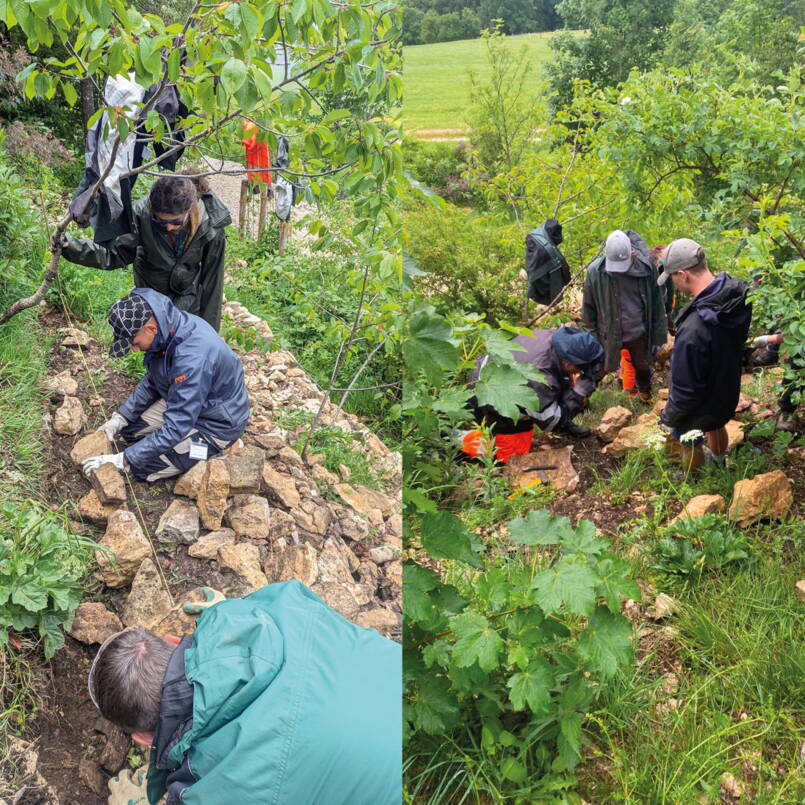 Blocktage «Naturnahe Lebensräume»