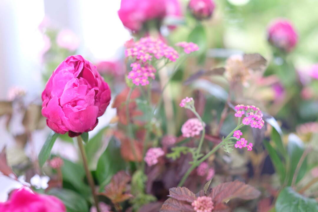 Blumenladen Oeschberg