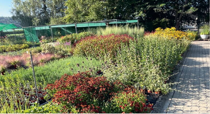 Gartenbauschule Oeschberg Gartenbauschule Oeschberg