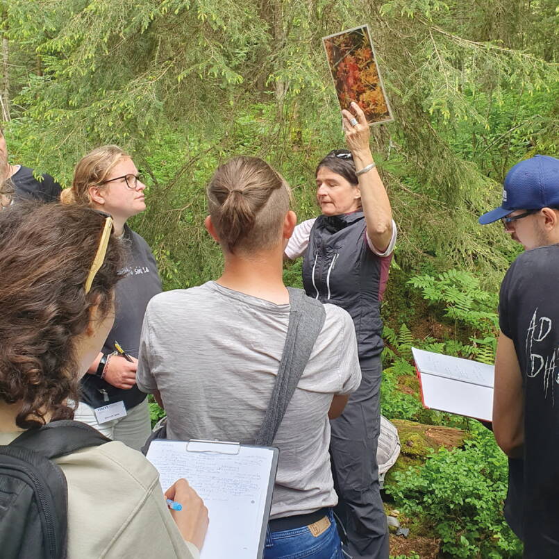 Blocktage «Naturnahe Lebensräume»