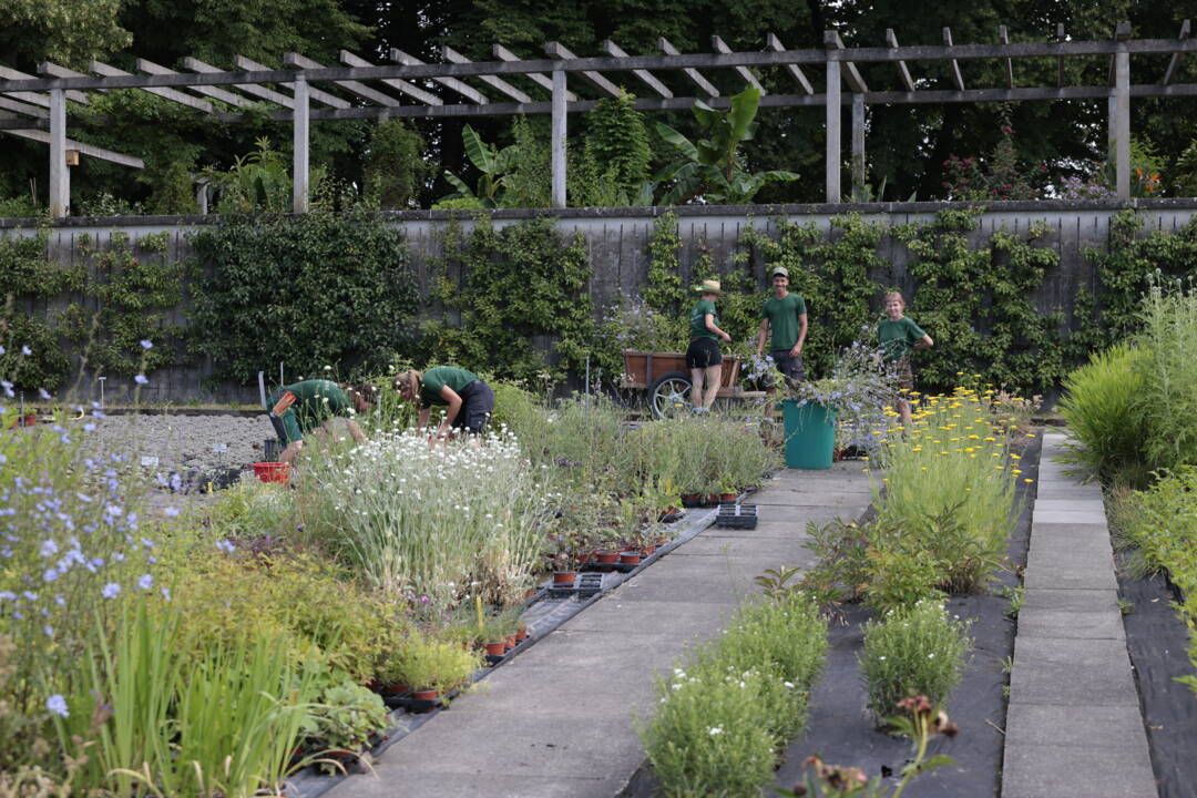 Vorlehre Gartenbauschule Oeschberg